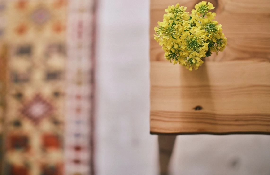 The studio drying wall hung with colourful dried stems